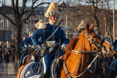 Carl XVI Gustaf, İsveç kutlama 70ths doğum gününde