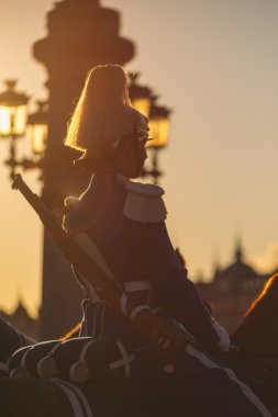 Carl XVI Gustaf, İsveç kutlama 70ths doğum gününde