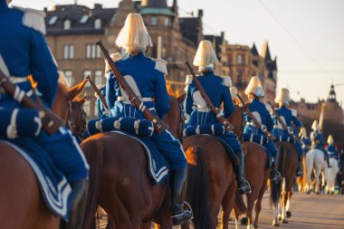 Carl XVI Gustaf, İsveç kutlama 70ths doğum gününde