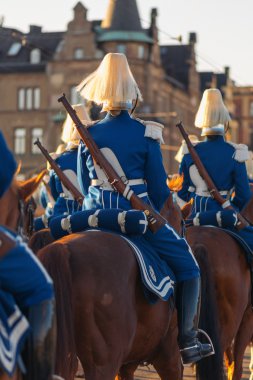 Carl XVI Gustaf, İsveç kutlama 70ths doğum gününde