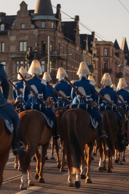 Carl XVI Gustaf, İsveç kutlama 70ths doğum gününde