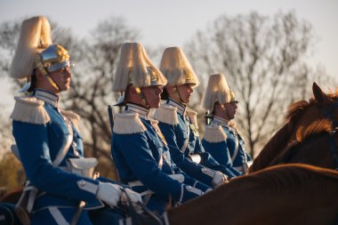 Carl XVI Gustaf, İsveç kutlama 70ths doğum gününde