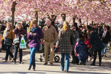 İlkbaharda Kungstradgarden mutlu insanlar ile öğle yemeği sırasında