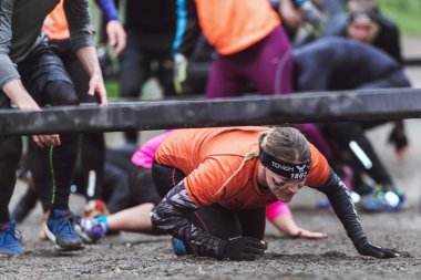 Stockholm Stadion ve crawli etrafında Zorlu Viking engel kursu