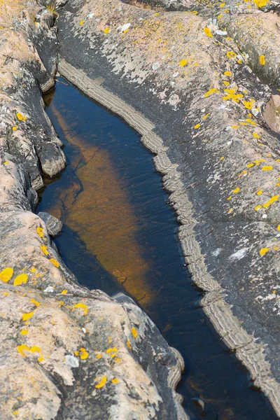 バルト海の海岸で岩の水たまり — ストック写真