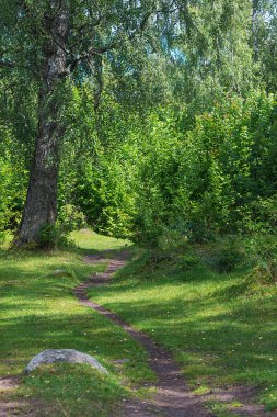 İnekler yeşil yemyeşil orman tarafından yapılan iz
