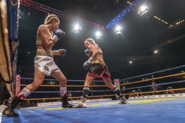 WBC title match between Mikaela Lauren (SWE) vs Klara Svensson ( clipart