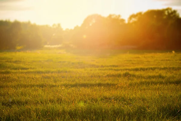 Pôr do sol sobre campo de grama rural — Fotografia de Stock