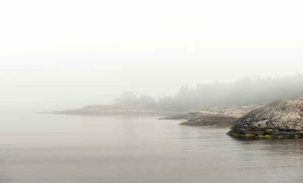 Прибрежный регион во время туманного утра — стоковое фото