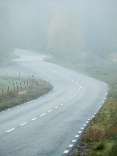 霧深い天候で曲がりくねった道路 — ストック写真