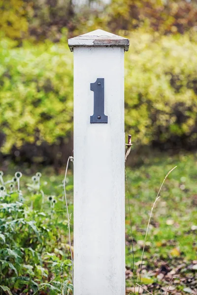 Poste de madeira com número um na grama verde — Fotografia de Stock