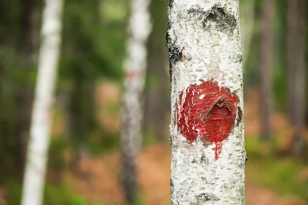 Hiking sign painted in red — Stock Photo, Image