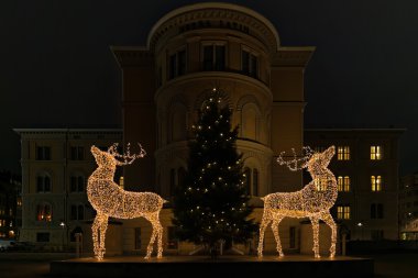 İki raindeers ve ışık Norra Bantorget adlı bir Noel ağacı