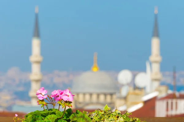 Istanbul cityscape arka planda bir balkon, çiçek — Stok fotoğraf