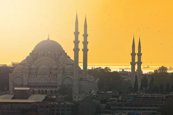 Mesquita à tarde com cores amarelas do céu claro — Fotografia de Stock