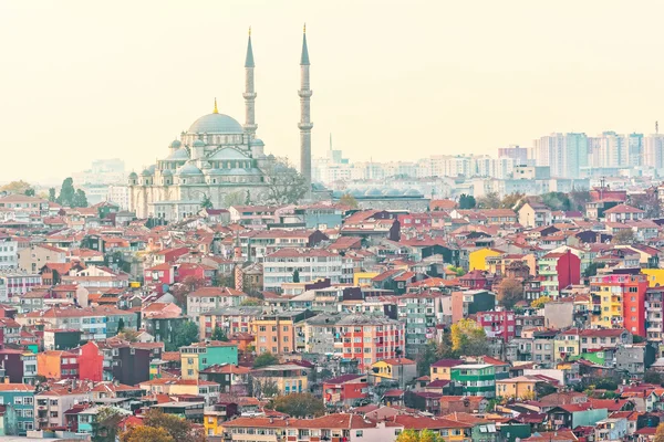 Istanbuls dense residential area with the Suleymaniye Mosque — Stock Photo, Image