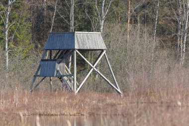 Sulak alan içinde kuş gözlemciliği için ahşap gözetleme kulesi