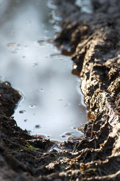 Deep tire track on a rural dirt road — Stock Photo, Image