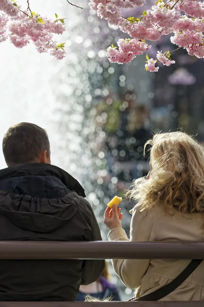 Coppia che mangia durante il pranzo al Cherry blooming di Kungstradga — Foto Stock