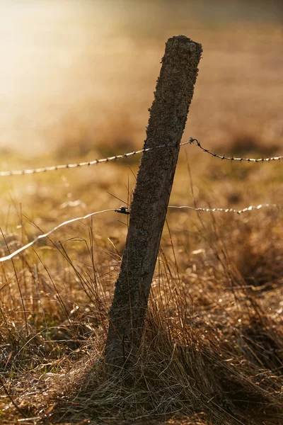 Old fence pole with barbed and electrical wire for livestock dur — Stock Photo, Image