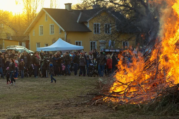 The traditional Walpurgis or Valborg fire at Haverodal with crow — Stock Photo, Image