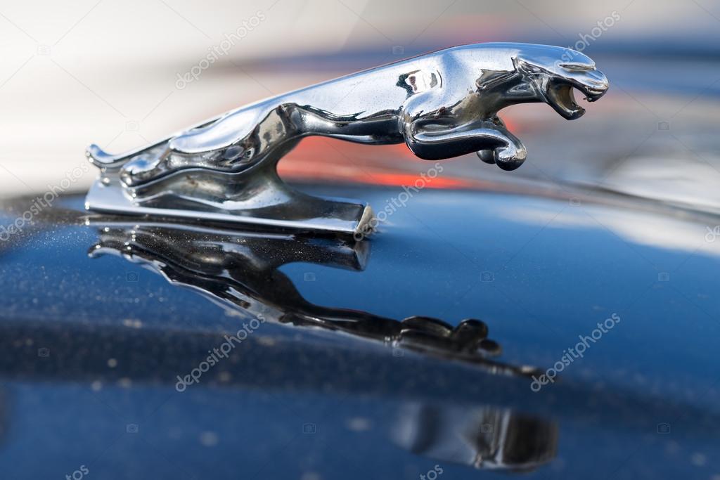 Learn about 122+ imagen jaguar car logo price In.thptnganamst.edu.vn