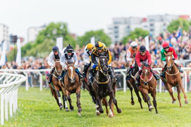 eylem zaman jockeys ve atları geçen eğri çıkıyor