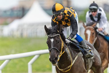 Ulusal yarış sırasında jockeys ve atların gözleri closeup