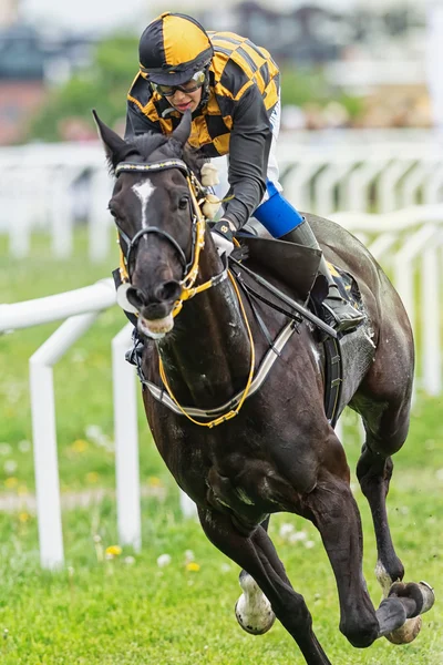 Closeup of a jockey and horse during race at the Nationaldags Ga