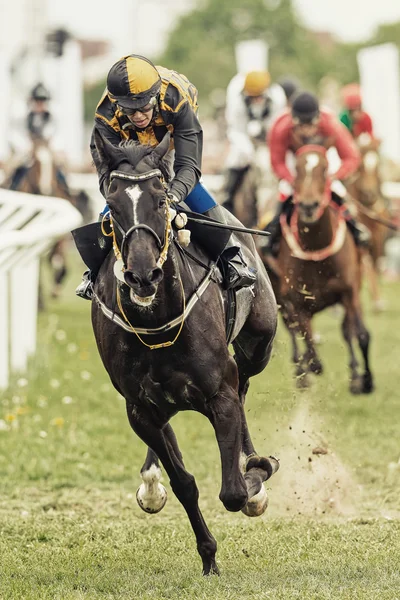 Ação quando jockey e cavalo saindo da última curva — Fotografia de Stock