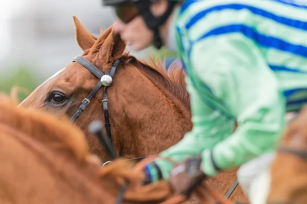Gros plan d'un œil de cheval pendant la course — Photo