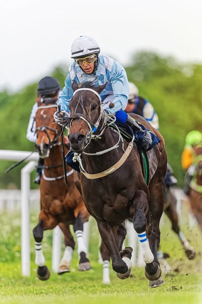 Corrida De Cavalos Vitoriana Steeplechase Século Xix Ilustração - Getty  Images