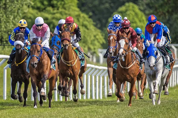 Grup renkli jockeys ve atları hızlı hızı