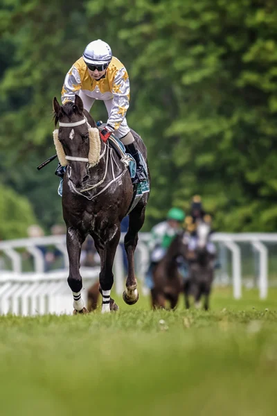 Jockey in a warm up race during the race — Stock Photo, Image