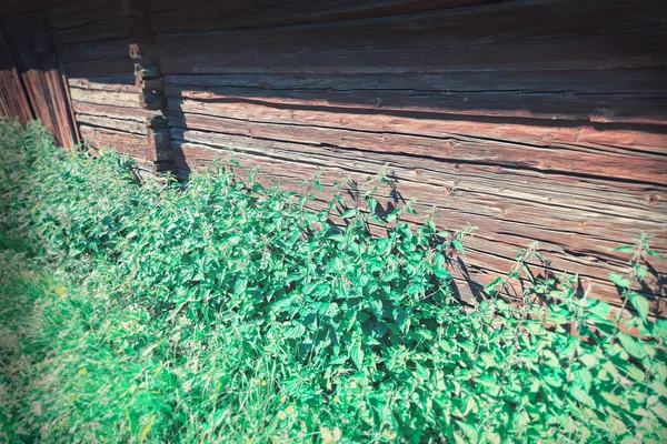 Urtigas na parede de madeira velha vermelha com filtros adicionados para impr mais velho — Fotografia de Stock