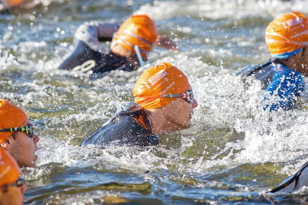 Closeup of a male triathlete smimming at ITU World Triathlon eve — стокове фото