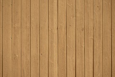 Old grunge wood panels in the autumn color Oak Bluff
