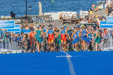 Mariefred pastoral küçük kasaba Gripsholm kalede kalın duvara pencereden