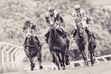 Jockeys hızlı eğrideki dışarı atlar Nationaldagsg hızda