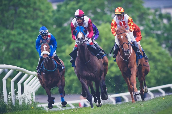 Horses with jockeys out of a curve in fast pace at Nationaldagsg — Stock Photo, Image