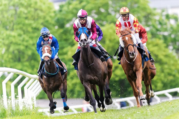 Horses with jockeys out of a curve in fast pace at Nationaldagsg — Stock Photo, Image