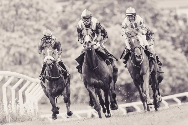 Horses with jockeys out of a curve in fast pace at Nationaldagsg — Stock Photo, Image