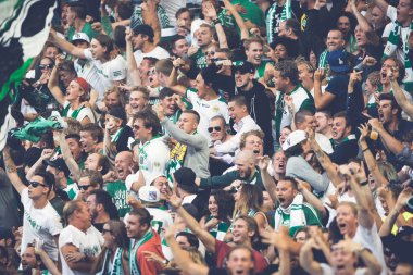 Fans of Hammarby after a goal in the soccer game the rivals Djur
