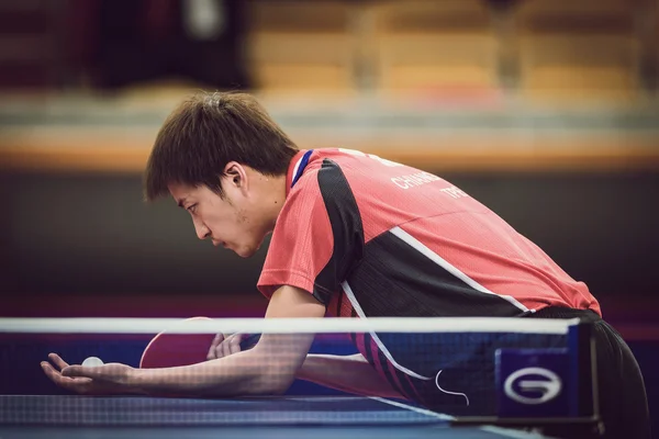 Table tennis tournament SOC at the arena Eriksdalshallen — 스톡 사진