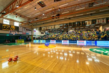 Women European Qualifier game between Sweden and Spain