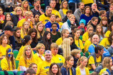 Women European Qualifier game between Sweden and Spain