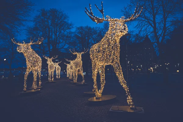 Group of Christmas moose made of led light — Stock Photo, Image