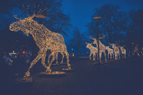 Noel geyiği grup led ışık yapılmış — Stok fotoğraf