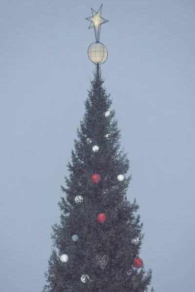 Christmas tree at the old town in Stockholm during a snowy winte — Stock Photo, Image