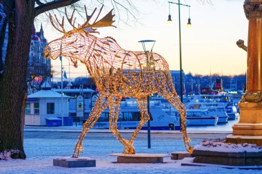 Güneş doğmadan önce Nybrokajen Stockholm, geyik